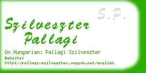 szilveszter pallagi business card